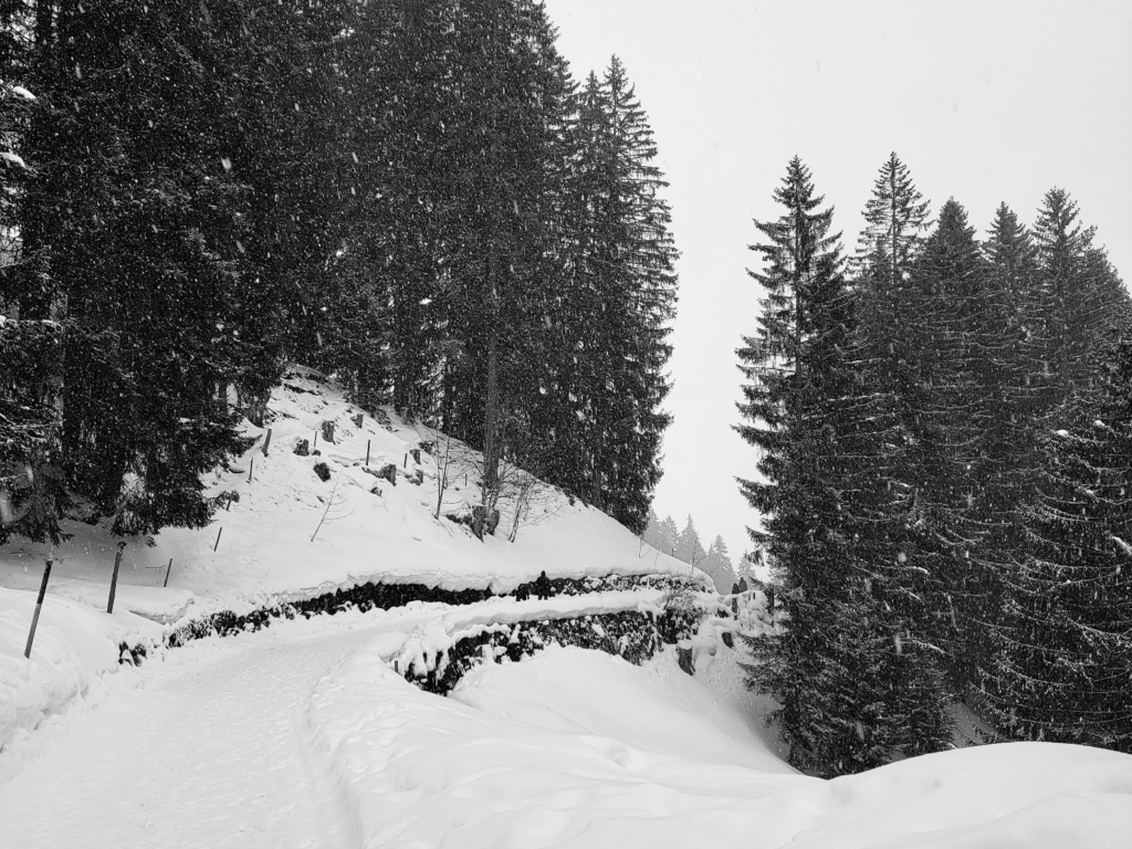 Kleinwalsertal: Austria’s Hidden Alpine Treasure 101