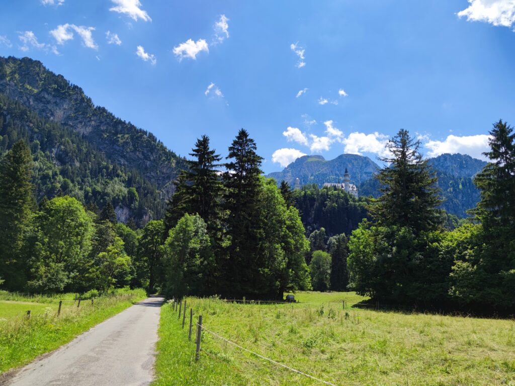 Neuschwanstein & Hohenschwangau: Exploring Bavaria's Fairytale Castles Through the Seasons 51