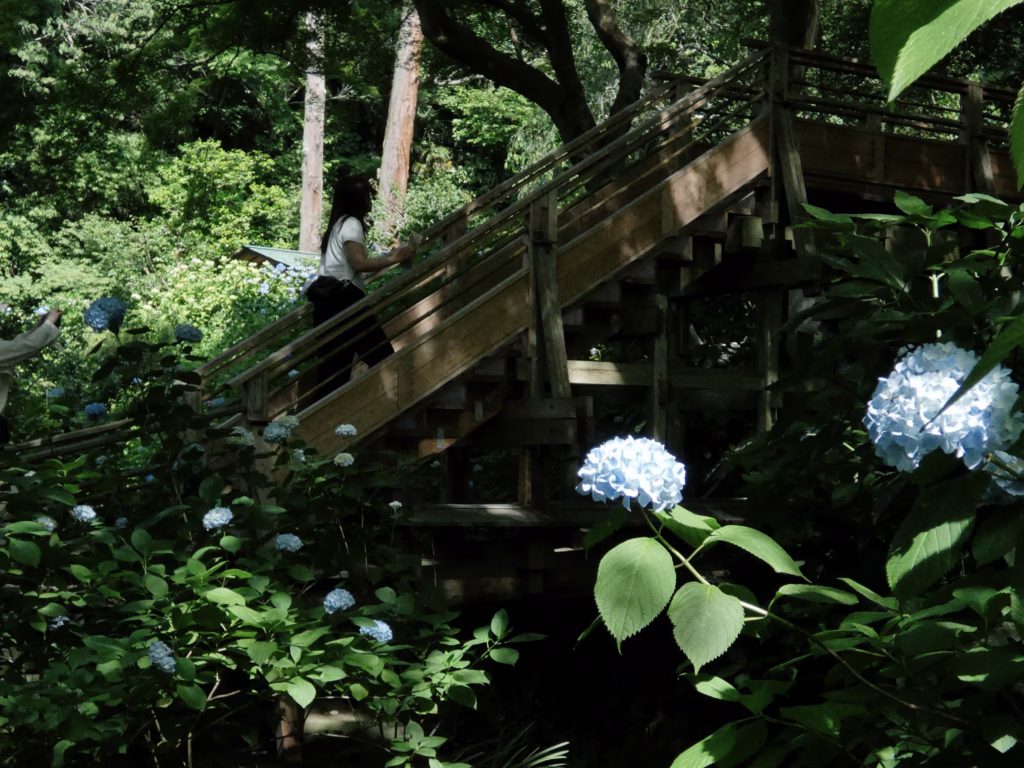 Where to Stay in Tokyo: Why We Picked Ebisu Over Shinjuku 34 Where to Stay in Tokyo: Why We Picked Ebisu Over Shinjuku 33