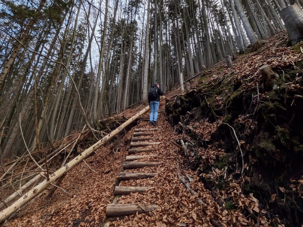 The Alpine Wonders of Garmisch-Partenkirchen: Hiking, Zugspitze, and More 81