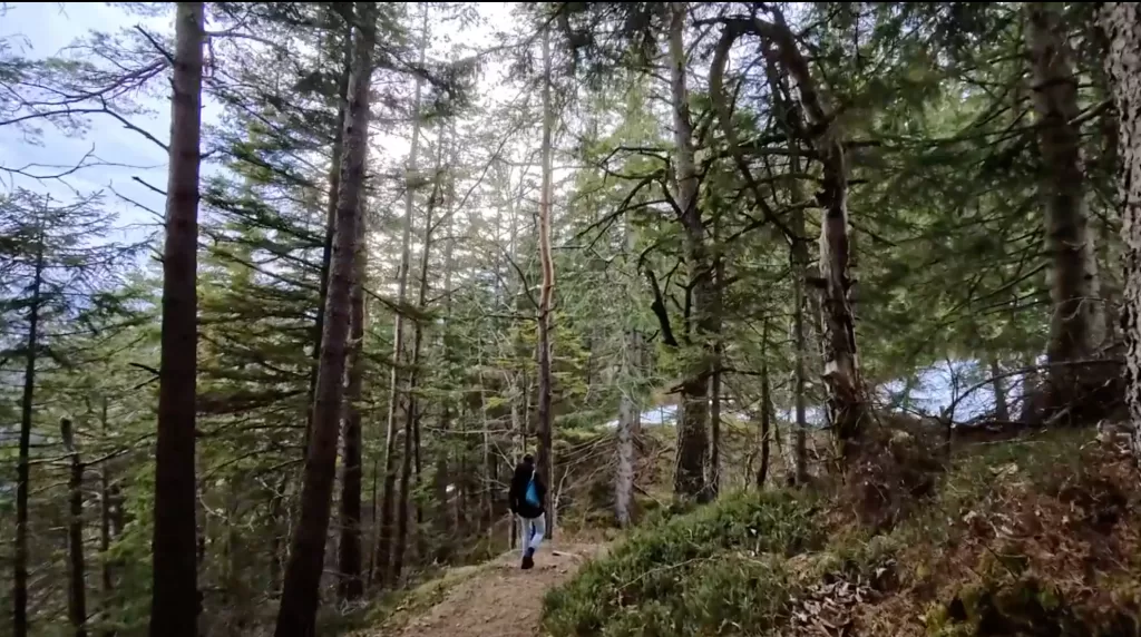 Alpine Trails and Roman Roads: Hiking Adventures in Mittenwald 11