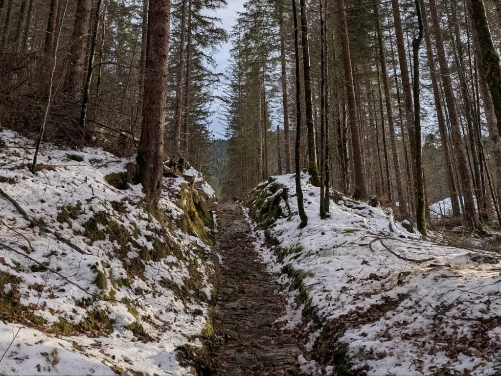 Alpine Trails and Roman Roads: Hiking Adventures in Mittenwald 39