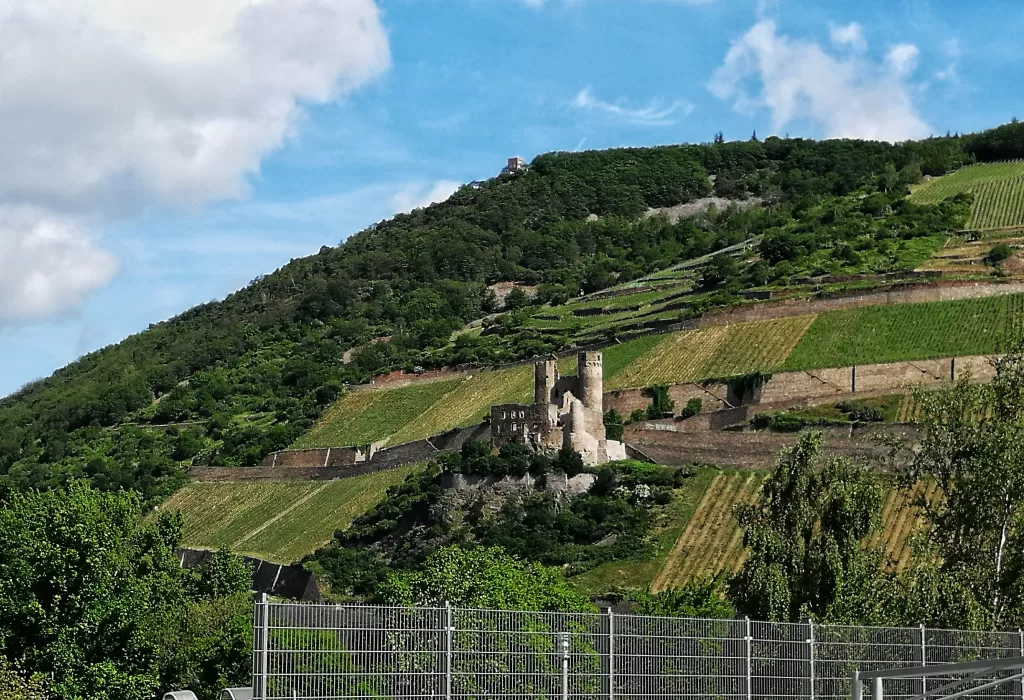 Rheingau: A Wine Lover’s Paradise in Germany 35