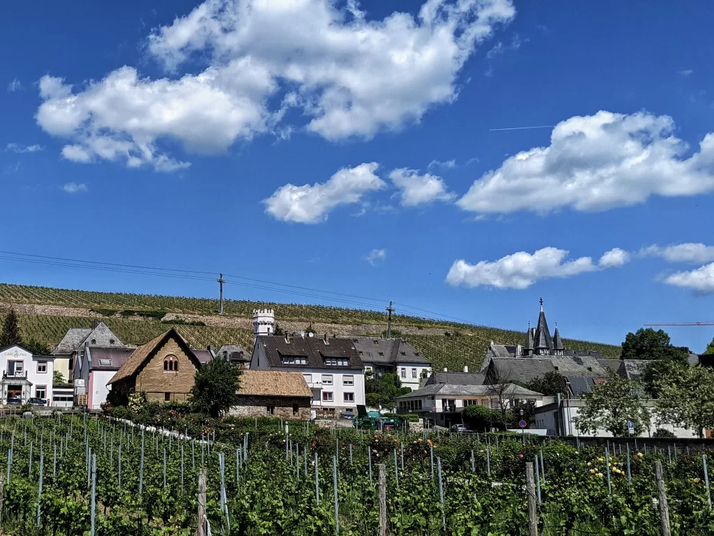 Rheingau: A Wine Lover’s Paradise in Germany 31