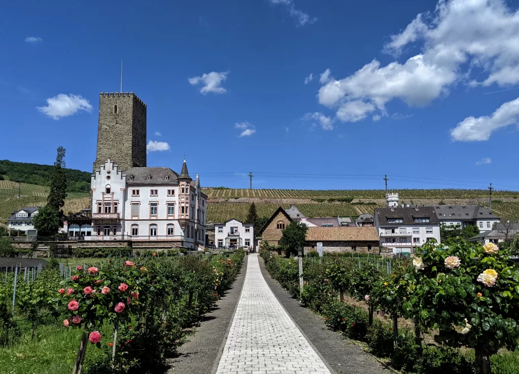 Rheingau: A Wine Lover’s Paradise in Germany 27