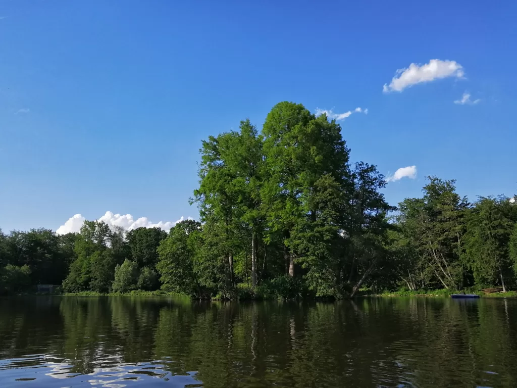 Living in Darmstadt: The Intimate Oasis of Hessen 17