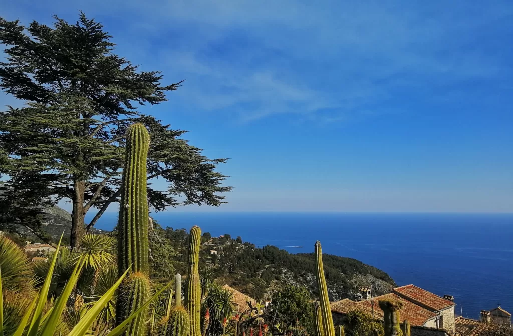 The French Riviera: A Journey Through Côte D'Azur’s Enchanting Blue 