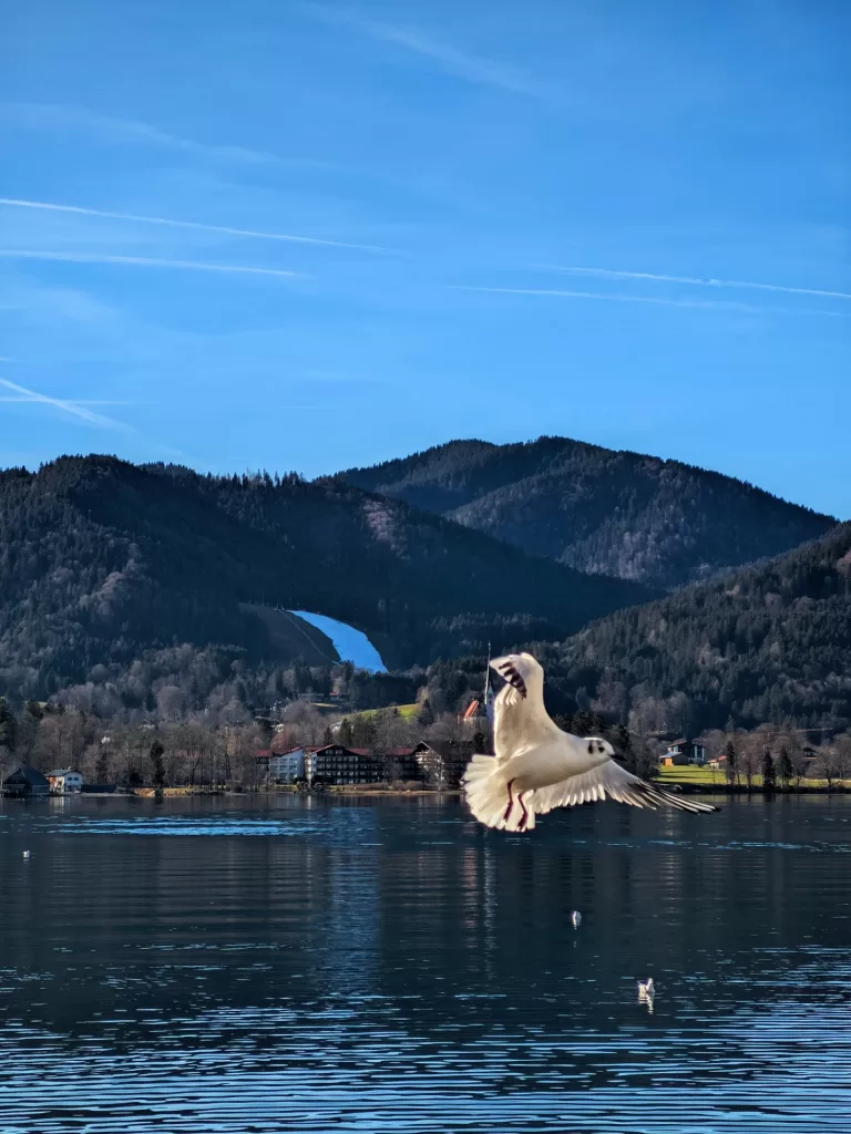 Tegernsee: Alpine Vistas and Crystal-Clear Waters 19