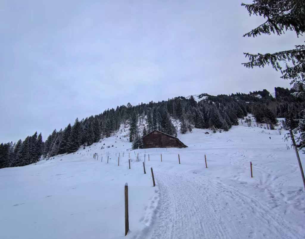 Kleinwalsertal: Austria’s Hidden Alpine Treasure 19