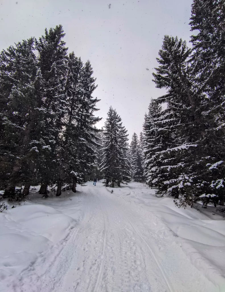 Kleinwalsertal: Austria’s Hidden Alpine Treasure 43