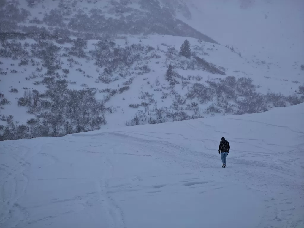 Kleinwalsertal: Austria’s Hidden Alpine Treasure 51