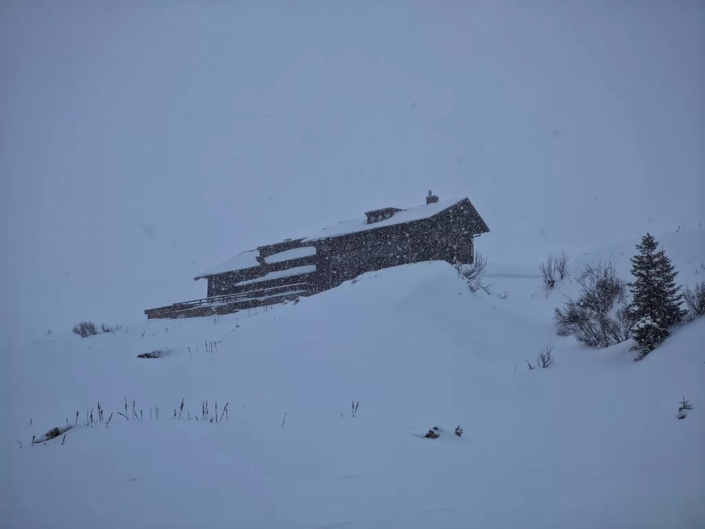 Kleinwalsertal: Austria’s Hidden Alpine Treasure 55