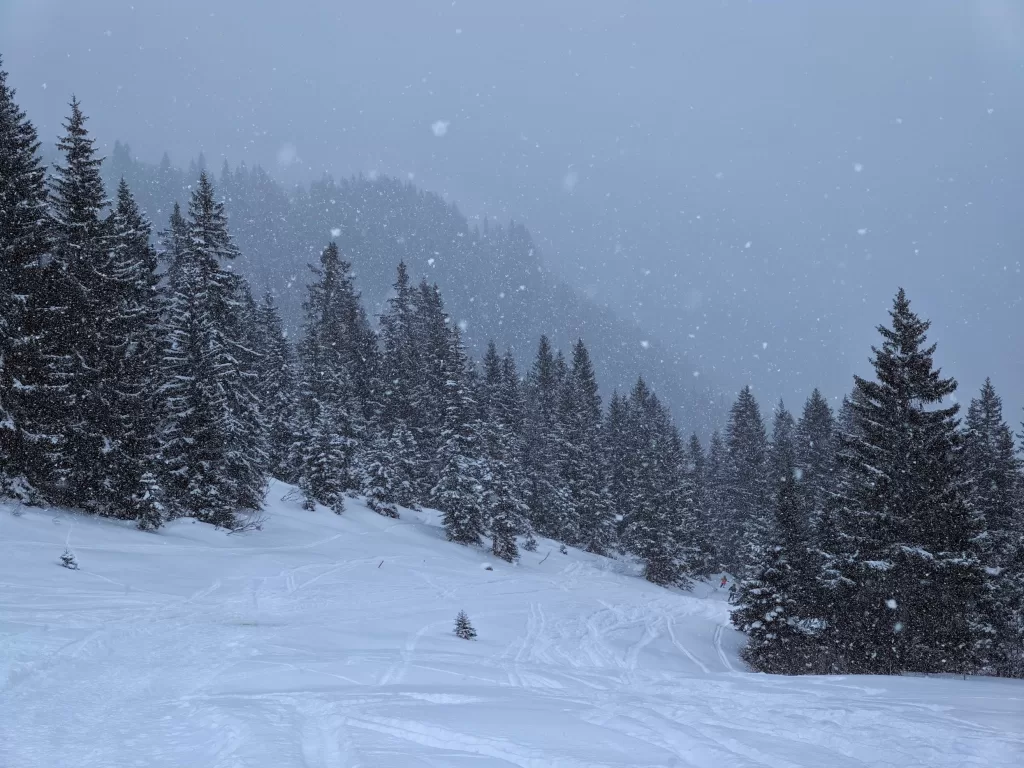 Kleinwalsertal: Austria’s Hidden Alpine Treasure 63