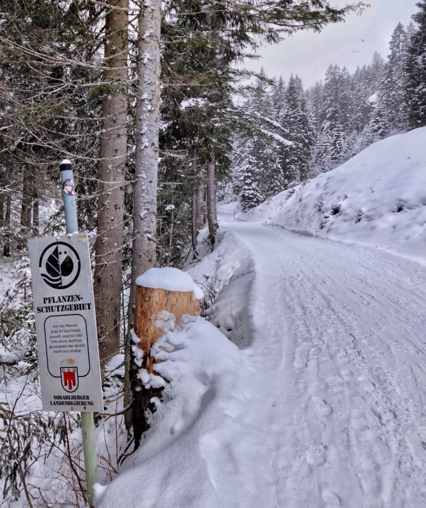 Kleinwalsertal: Austria’s Hidden Alpine Treasure 35