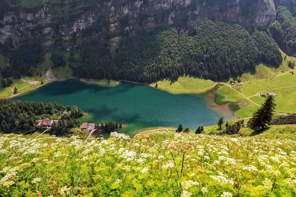 Hiking in Appenzellerland: The Stunning Äscher to Seealpsee Route 59