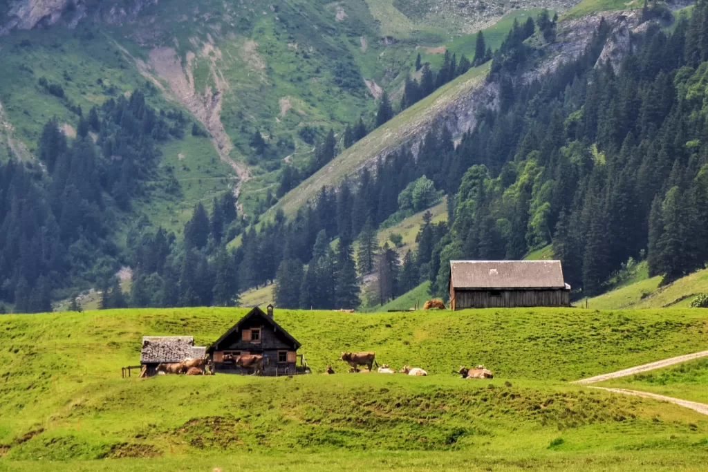 Hiking Adventures in Appenzellerland: Sämtisersee to Saxer Lücke 43