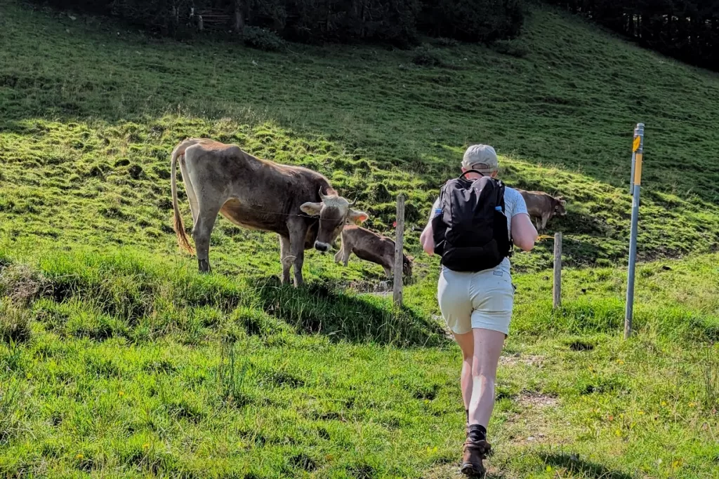 Hiking in Appenzellerland: The Stunning Äscher to Seealpsee Route 35