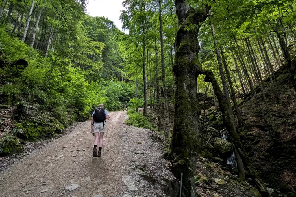 Hiking Adventures in Appenzellerland: Sämtisersee to Saxer Lücke 27