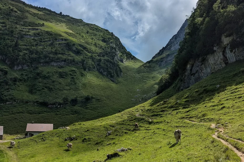 Hiking Adventures in Appenzellerland: Sämtisersee to Saxer Lücke 67