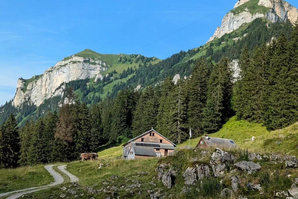 Hiking Adventures in Appenzellerland: Sämtisersee to Saxer Lücke 107