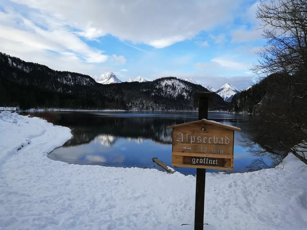 Chasing Winter Magic: A Snow-Filled Adventure to Neuschwanstein Castle 83