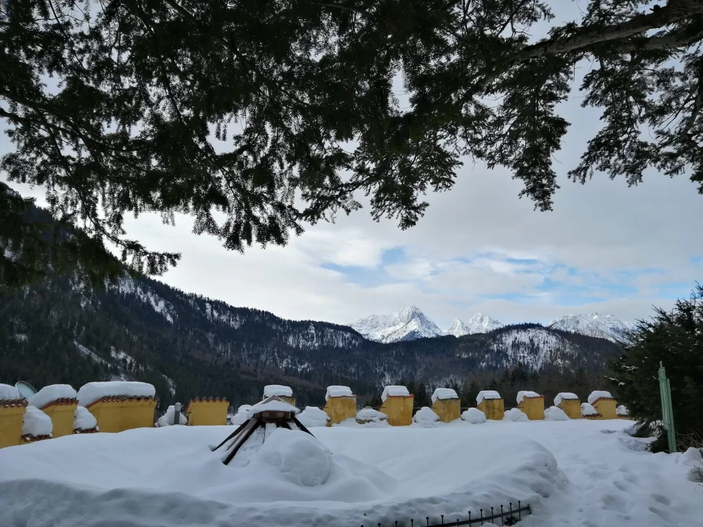 Chasing Winter Magic: A Snow-Filled Adventure to Neuschwanstein Castle 71