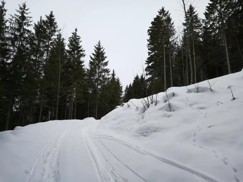 Chasing Winter Magic: A Snow-Filled Adventure to Neuschwanstein Castle 95