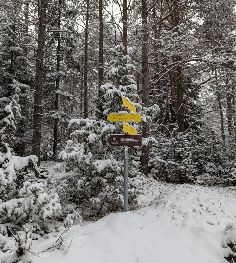 Alpine Escape: Winter Adventures in Seefeld in Tirol 51
