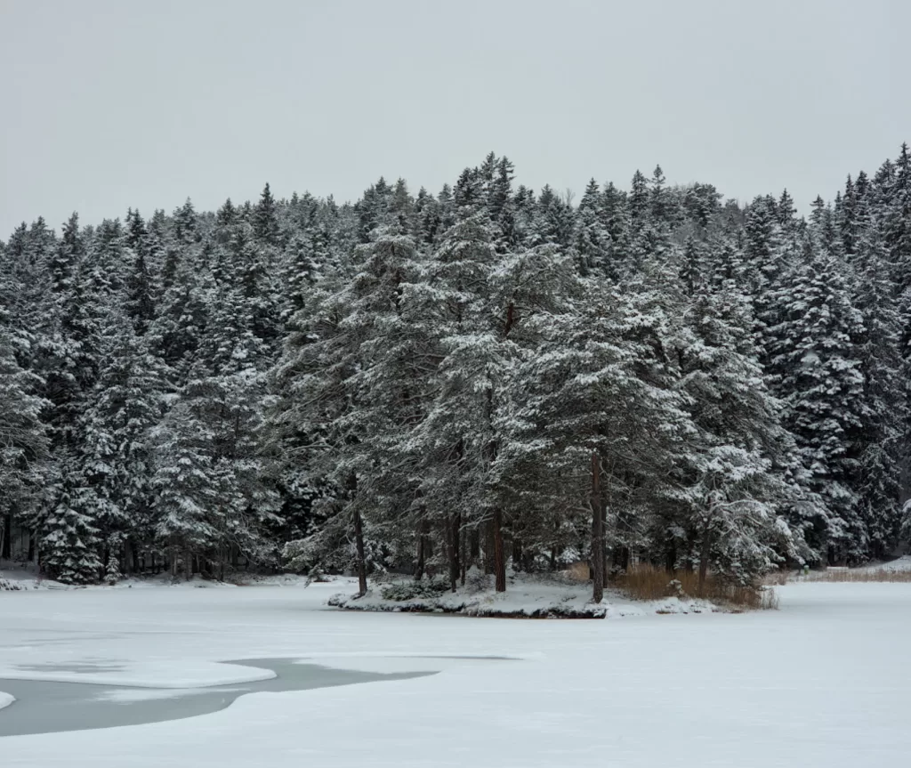 Alpine Escape: Winter Adventures in Seefeld in Tirol 47