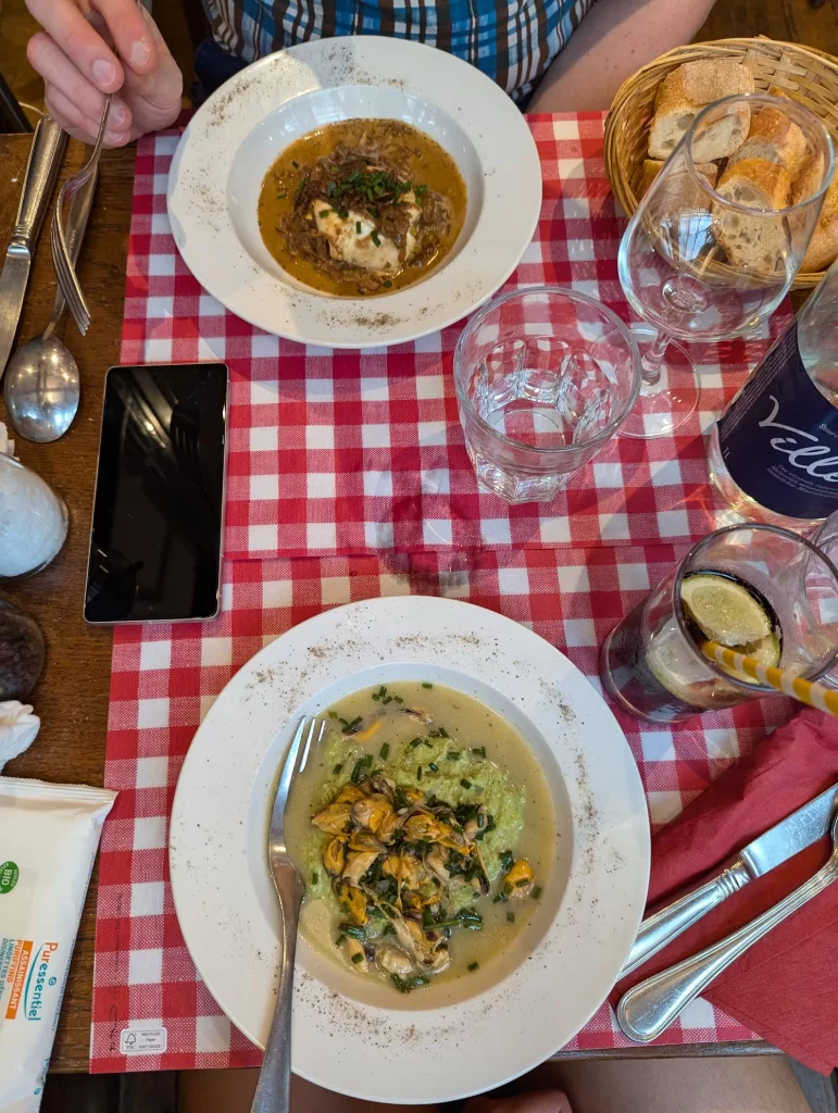 Cat Picks Of The Year 2024 45