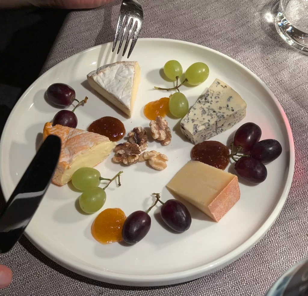 Cat Picks Of The Year 2024 21