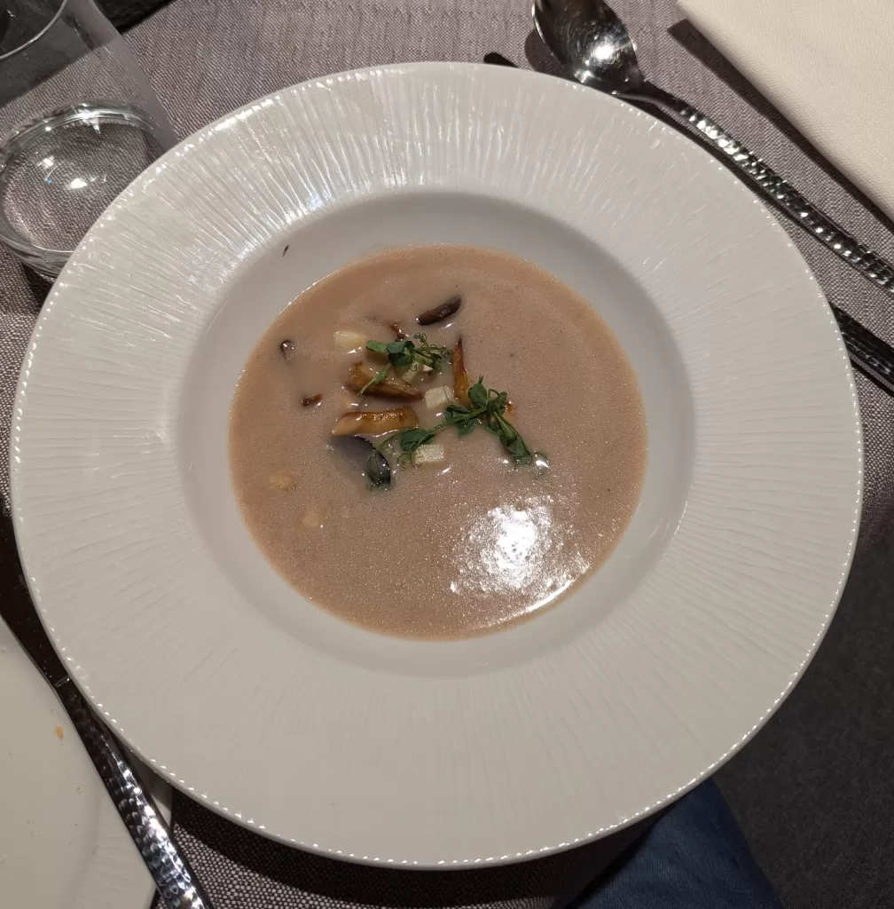 Cat Picks Of The Year 2024 13