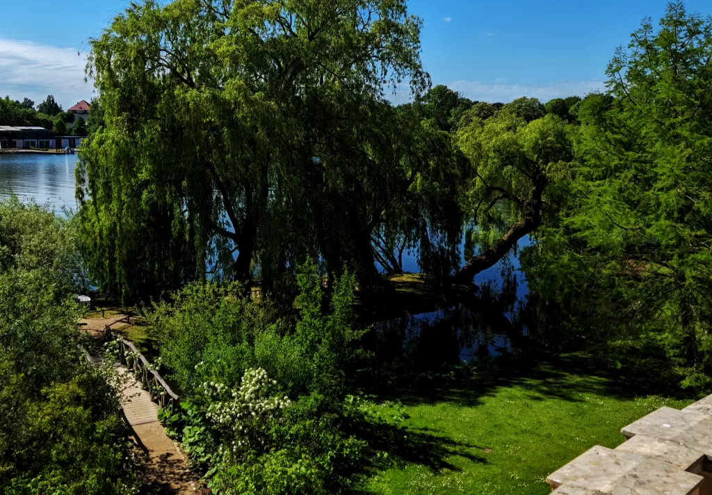 Schwerin: A Love Letter to Germany's Forgotten Capital 45