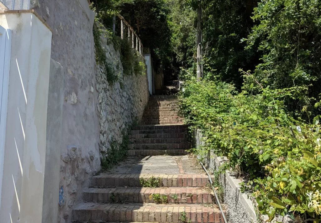 Mediterranean Dreams and Tourist Schemes: My Day in Capri 17