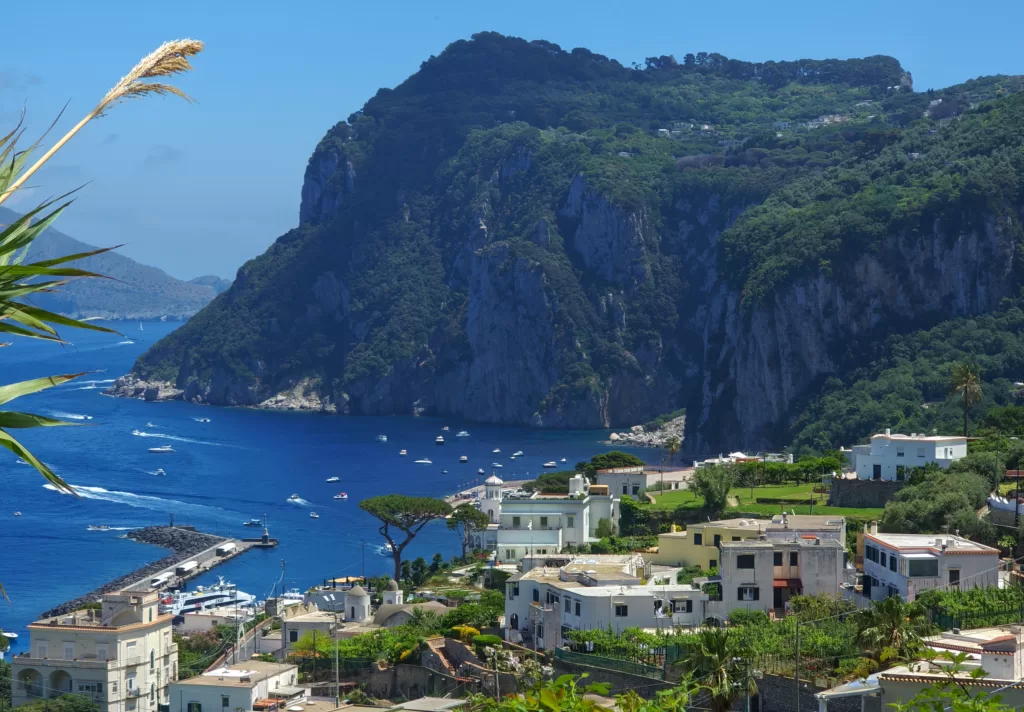 Mediterranean Dreams and Tourist Schemes: My Day in Capri 13