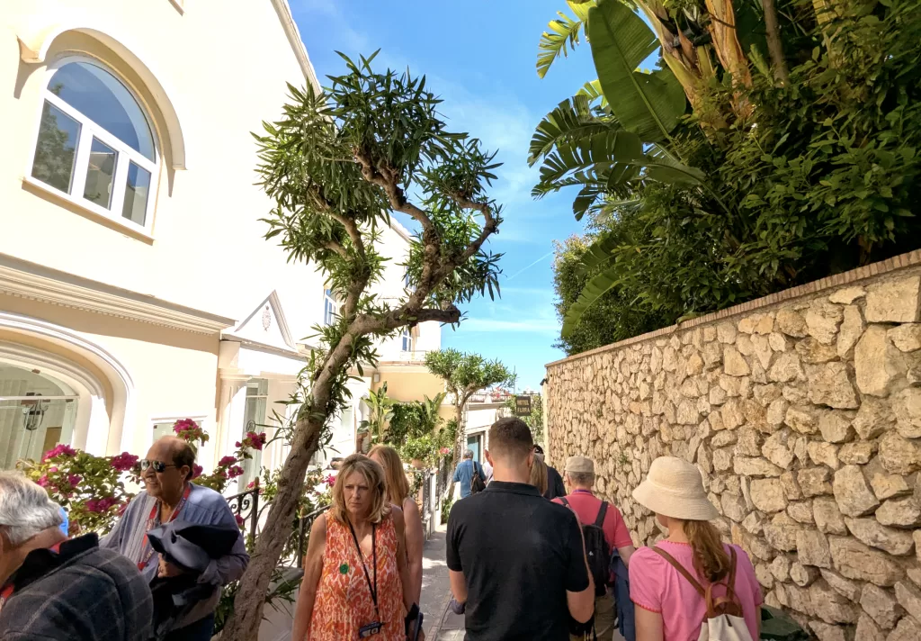 Mediterranean Dreams and Tourist Schemes: My Day in Capri 33