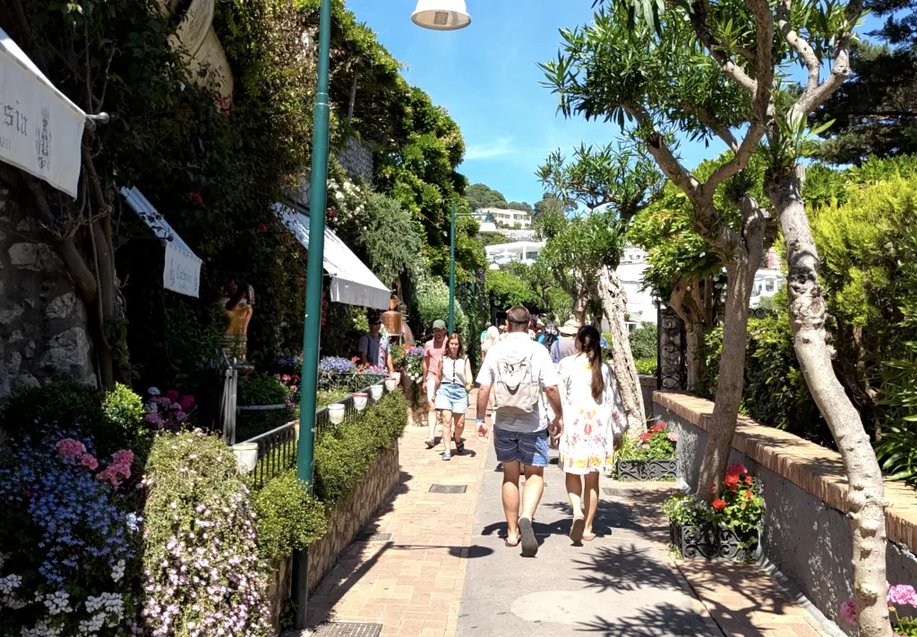 Mediterranean Dreams and Tourist Schemes: My Day in Capri 65