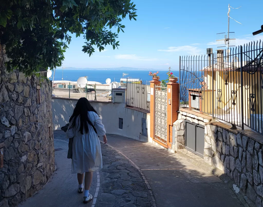 Mediterranean Dreams and Tourist Schemes: My Day in Capri 57