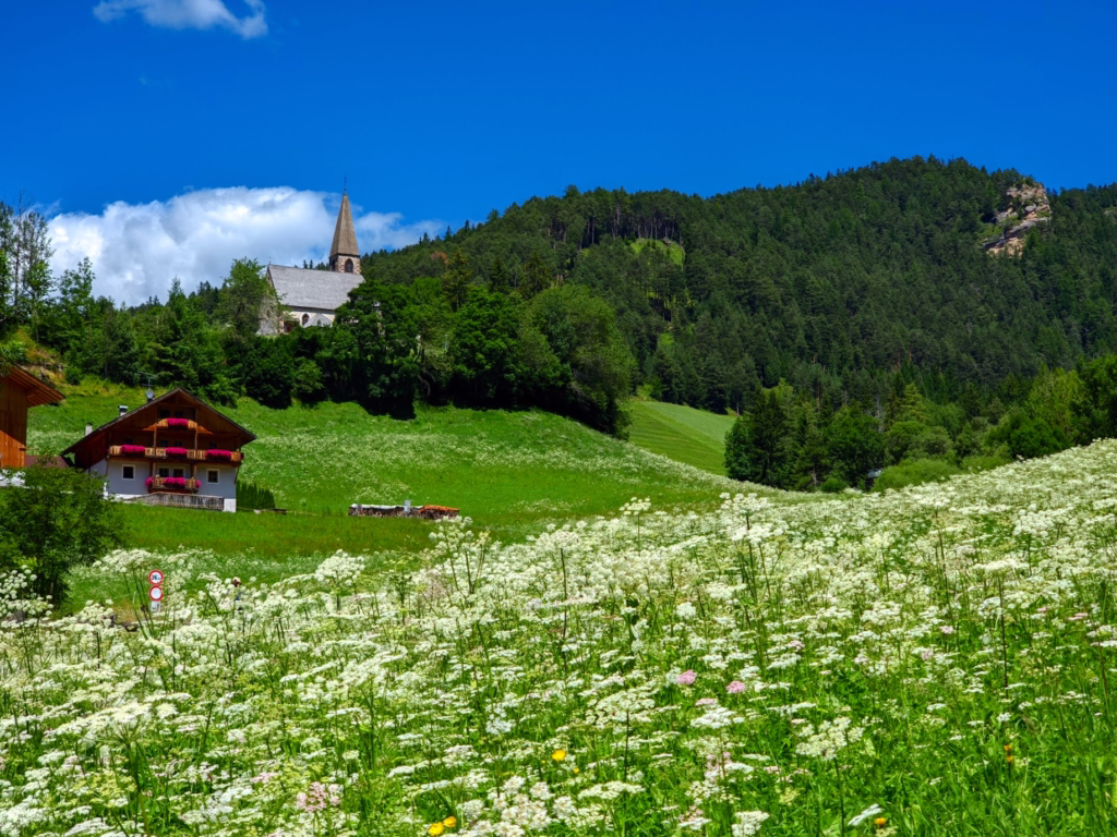 Funes: Chasing Dolomiti Dreams on a Day Trip 18 Funes: Chasing Dolomiti Dreams on a Day Trip 17