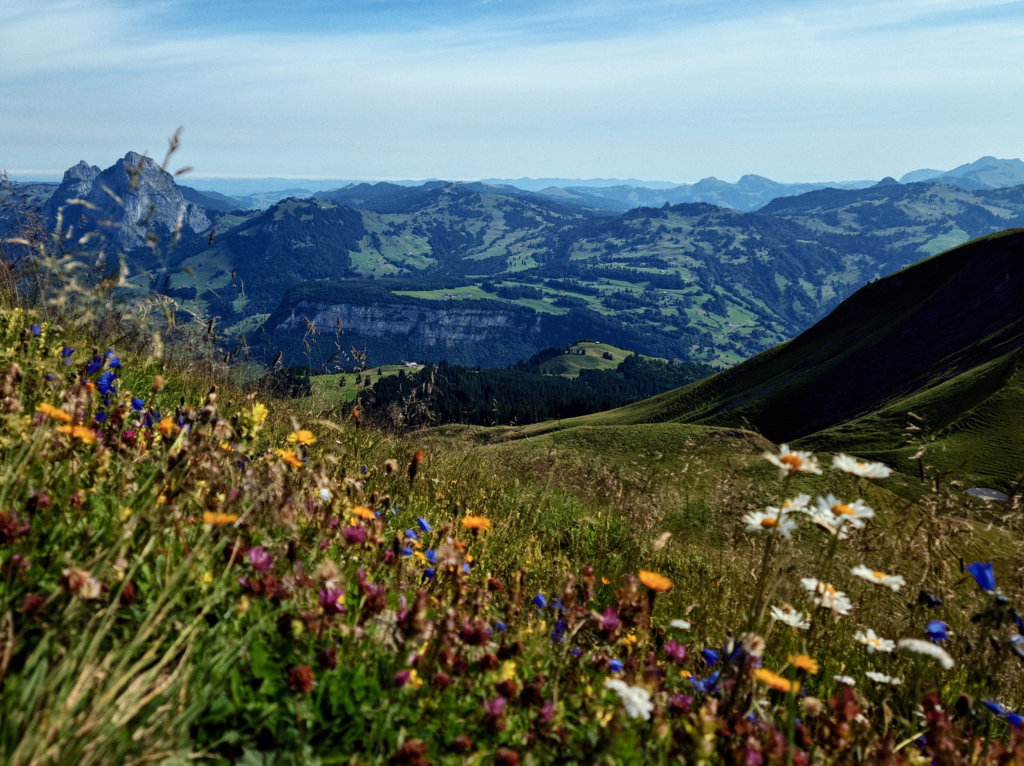 Stoos Ridge: Switzerland's Most Stunning Alpine Walk 25