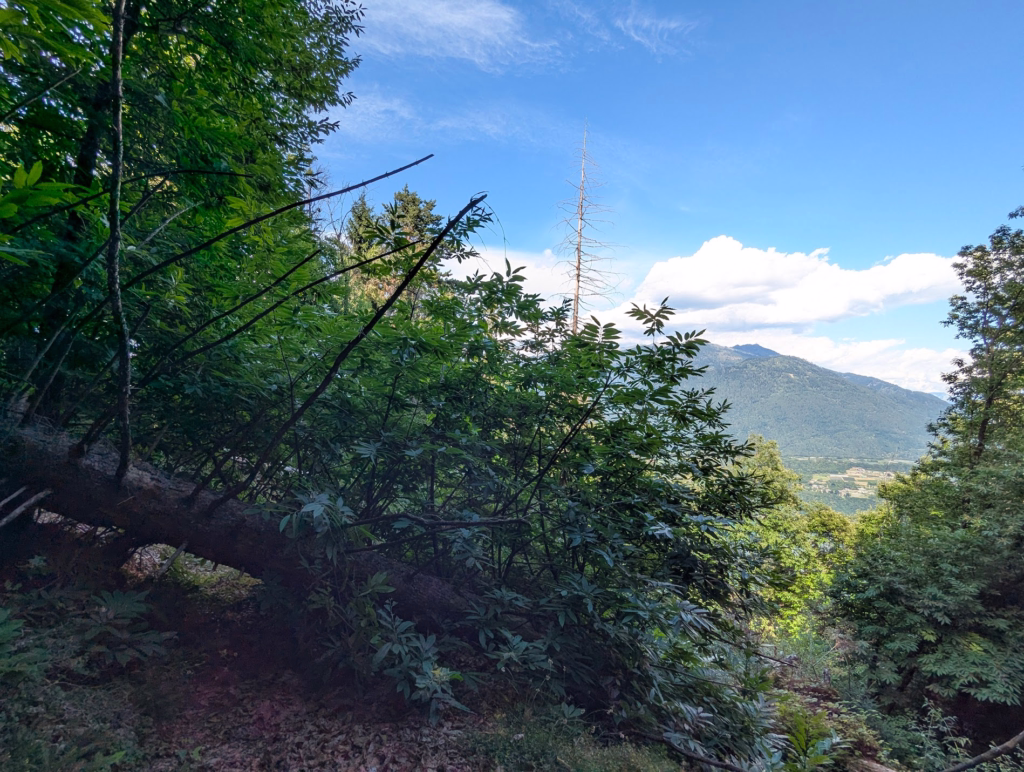 Finding Ambivalence in Trento: An Honest Travel Review 53