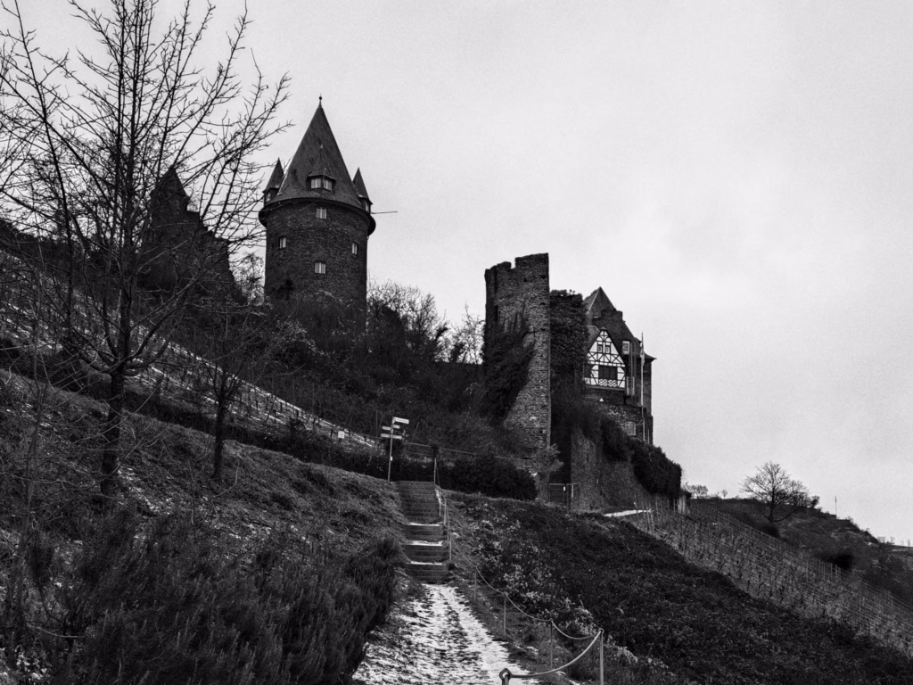 Bacharach, Germany: Is This Rhein Valley Town Worth the Trip from Frankfurt? 13